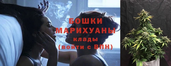 прущий лед Арсеньев