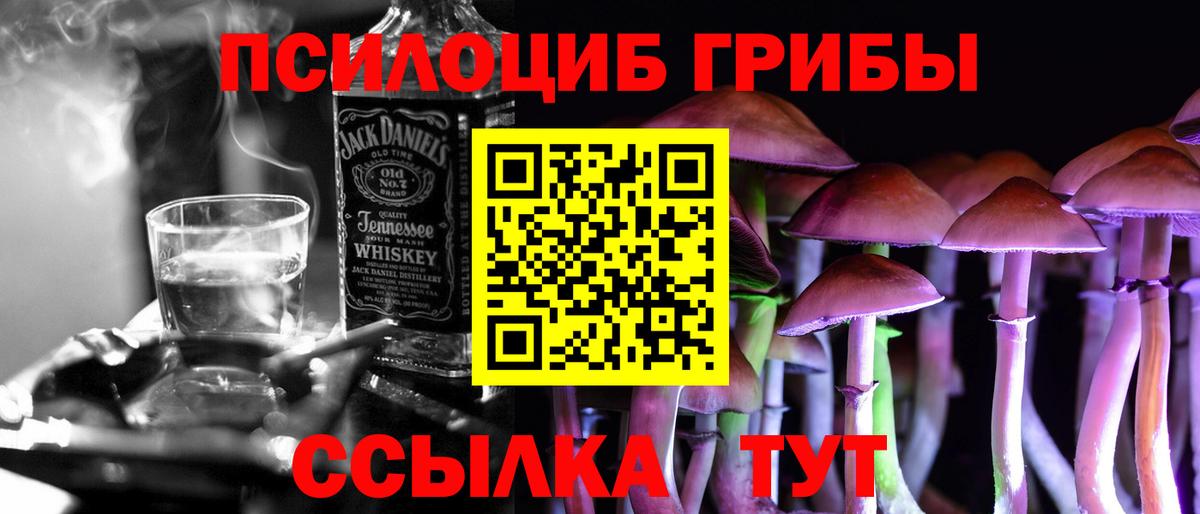Псилоцибиновые грибы MAGIC MUSHROOMS  где купить наркоту  Арсеньев 